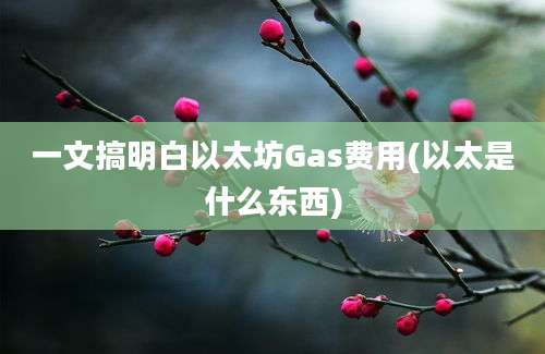 一文搞明白以太坊Gas费用(以太是什么东西)