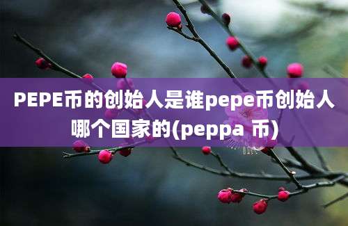 PEPE币的创始人是谁pepe币创始人哪个国家的(peppa 币)