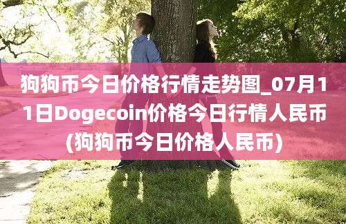 狗狗币今日价格行情走势图_07月11日Dogecoin价格今日行情人民币(狗狗币今日价格人民币)