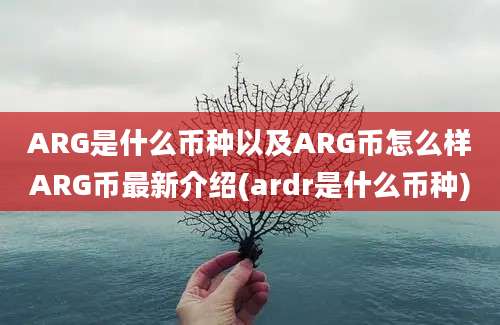 ARG是什么币种以及ARG币怎么样ARG币最新介绍(ardr是什么币种)