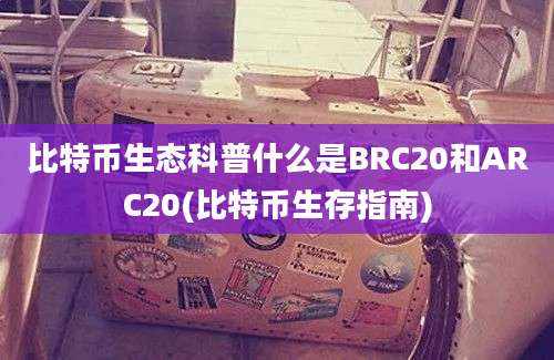 比特币生态科普什么是BRC20和ARC20(比特币生存指南)