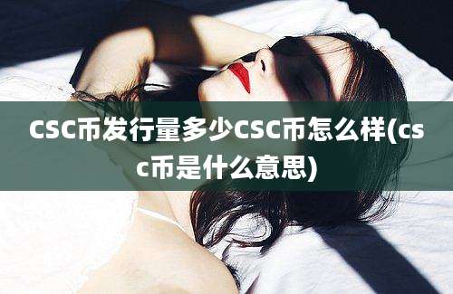 CSC币发行量多少CSC币怎么样(csc币是什么意思)