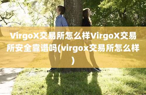 VirgoX交易所怎么样VirgoX交易所安全靠谱吗(virgox交易所怎么样)