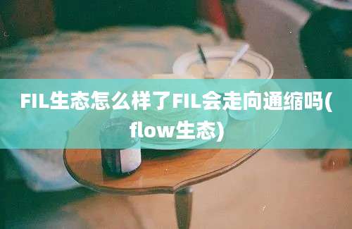 FIL生态怎么样了FIL会走向通缩吗(flow生态)