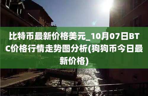 比特币最新价格美元_10月07日BTC价格行情走势图分析(狗狗币今日最新价格)