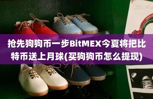 抢先狗狗币一步BitMEX今夏将把比特币送上月球(买狗狗币怎么提现)