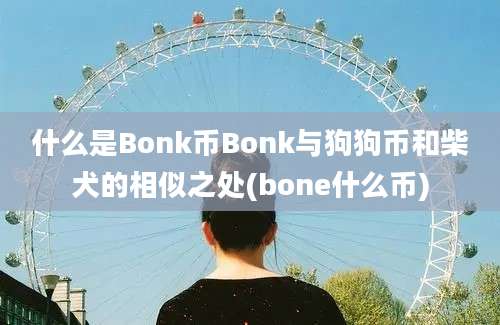 什么是Bonk币Bonk与狗狗币和柴犬的相似之处(bone什么币)