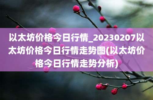 以太坊价格今日行情_20230207以太坊价格今日行情走势图(以太坊价格今日行情走势分析)