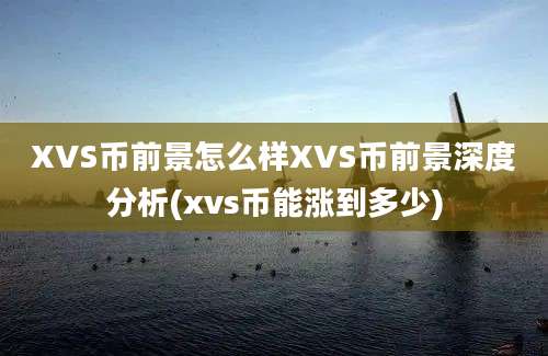 XVS币前景怎么样XVS币前景深度分析(xvs币能涨到多少)