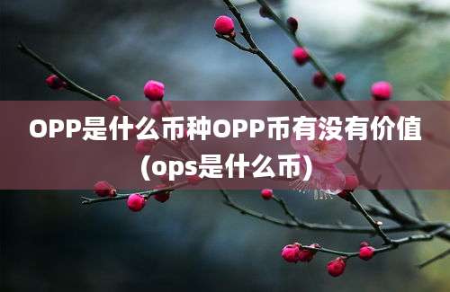 OPP是什么币种OPP币有没有价值(ops是什么币)