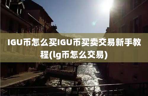 IGU币怎么买IGU币买卖交易新手教程(lg币怎么交易)