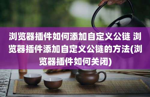 浏览器插件如何添加自定义公链 浏览器插件添加自定义公链的方法(浏览器插件如何关闭)