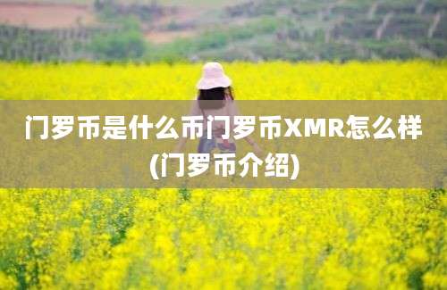 门罗币是什么币门罗币XMR怎么样(门罗币介绍)