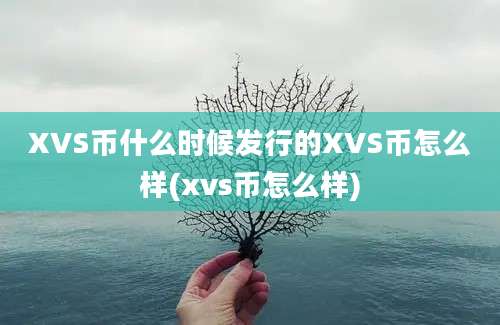 XVS币什么时候发行的XVS币怎么样(xvs币怎么样)