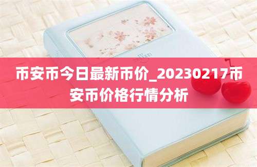 币安币今日最新币价_20230217币安币价格行情分析