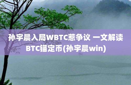 孙宇晨入局WBTC惹争议 一文解读BTC锚定币(孙宇晨win)