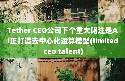 Tether CEO公司下个重大赌注是AI正打造去中心化运算模型(limited ceo talent)