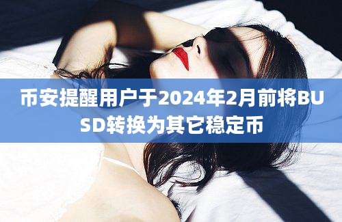 币安提醒用户于2024年2月前将BUSD转换为其它稳定币