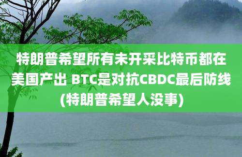 特朗普希望所有未开采比特币都在美国产出 BTC是对抗CBDC最后防线(特朗普希望人没事)