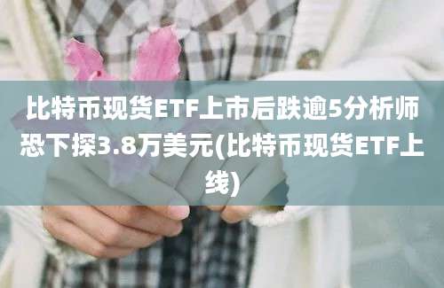 比特币现货ETF上市后跌逾5分析师恐下探3.8万美元(比特币现货ETF上线)