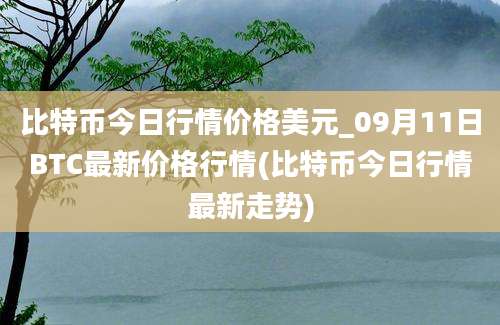 比特币今日行情价格美元_09月11日BTC最新价格行情(比特币今日行情最新走势)