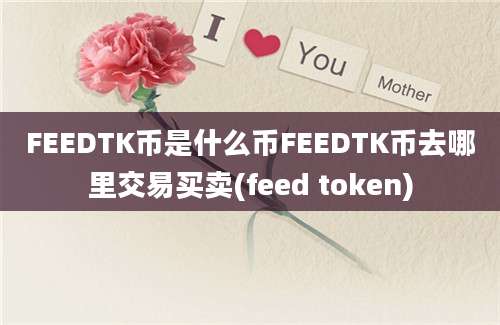 FEEDTK币是什么币FEEDTK币去哪里交易买卖(feed token)