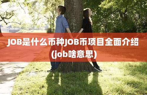 JOB是什么币种JOB币项目全面介绍(job啥意思)