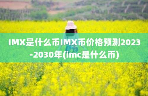 IMX是什么币IMX币价格预测2023-2030年(imc是什么币)