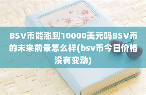 BSV币能涨到10000美元吗BSV币的未来前景怎么样(bsv币今日价格没有变动)