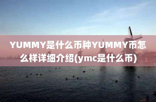 YUMMY是什么币种YUMMY币怎么样详细介绍(ymc是什么币)