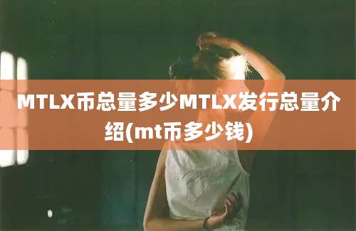 MTLX币总量多少MTLX发行总量介绍(mt币多少钱)