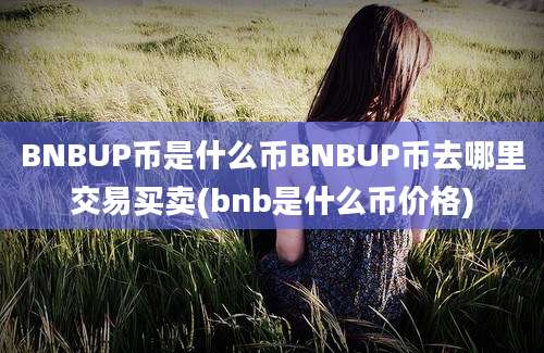 BNBUP币是什么币BNBUP币去哪里交易买卖(bnb是什么币价格)