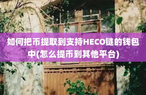 如何把币提取到支持HECO链的钱包中(怎么提币到其他平台)