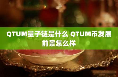 QTUM量子链是什么 QTUM币发展前景怎么样