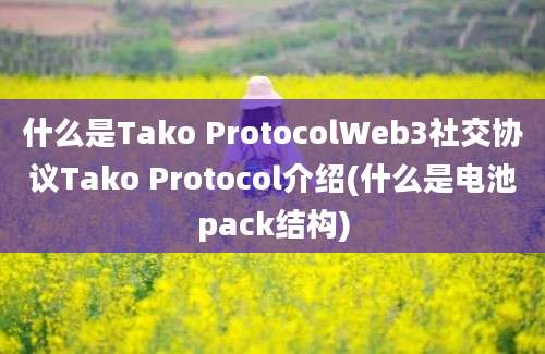 什么是Tako ProtocolWeb3社交协议Tako Protocol介绍(什么是电池pack结构)