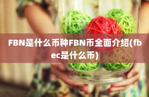 FBN是什么币种FBN币全面介绍(fbec是什么币)