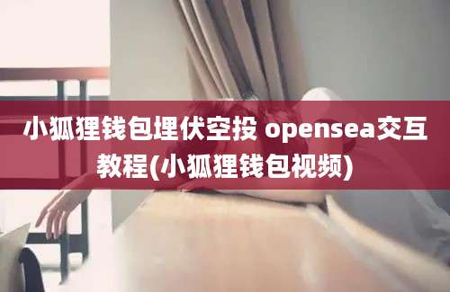 小狐狸钱包埋伏空投 opensea交互教程(小狐狸钱包视频)