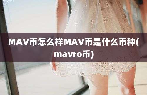 MAV币怎么样MAV币是什么币种(mavro币)