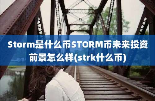 Storm是什么币STORM币未来投资前景怎么样(strk什么币)