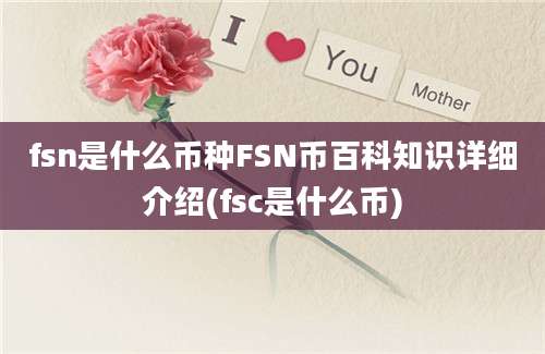 fsn是什么币种FSN币百科知识详细介绍(fsc是什么币)