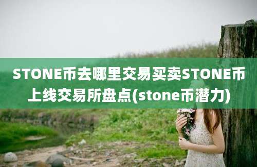 STONE币去哪里交易买卖STONE币上线交易所盘点(stone币潜力)