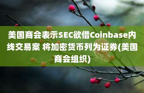 美国商会表示SEC欲借Coinbase内线交易案 将加密货币列为证券(美国商会组织)