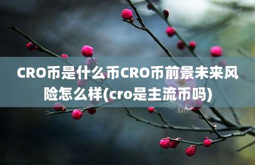 CRO币是什么币CRO币前景未来风险怎么样(cro是主流币吗)