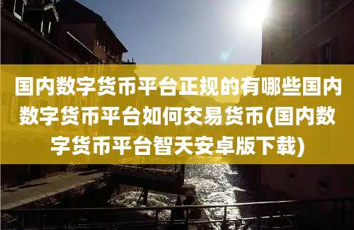 国内数字货币平台正规的有哪些国内数字货币平台如何交易货币(国内数字货币平台智天安卓版下载)