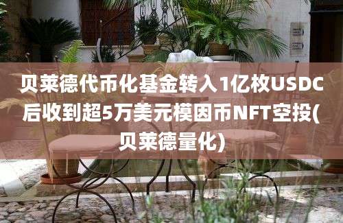 贝莱德代币化基金转入1亿枚USDC后收到超5万美元模因币NFT空投(贝莱德量化)