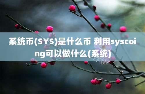 系统币(SYS)是什么币 利用syscoing可以做什么(系统)