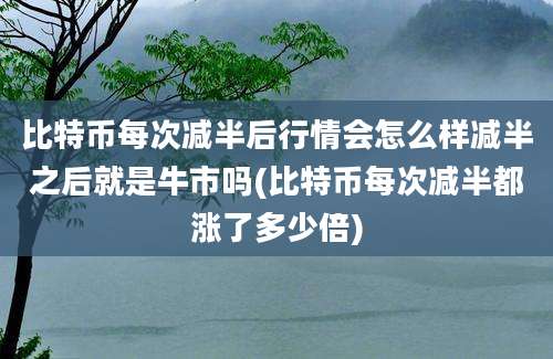 比特币每次减半后行情会怎么样减半之后就是牛市吗(比特币每次减半都涨了多少倍)