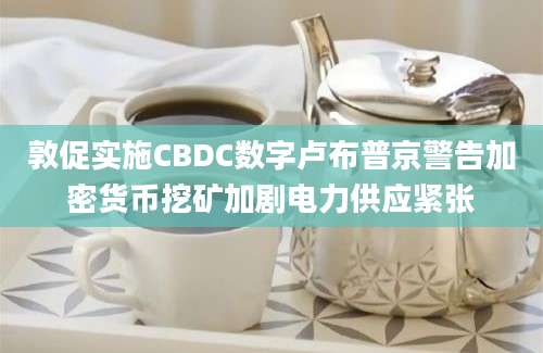 敦促实施CBDC数字卢布普京警告加密货币挖矿加剧电力供应紧张