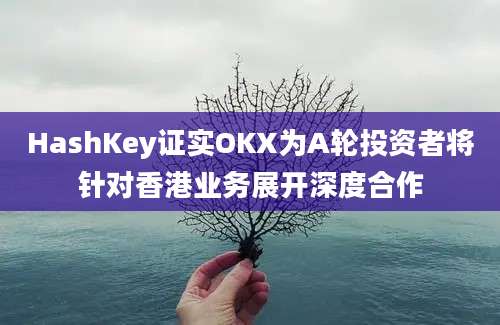 HashKey证实OKX为A轮投资者将针对香港业务展开深度合作