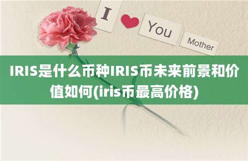 IRIS是什么币种IRIS币未来前景和价值如何(iris币最高价格)